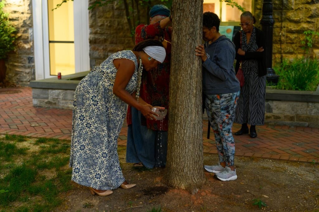 Michaela Harrison pours water next to the base of a small tree. Two other people stand behind the tree, leaning towards the tree.