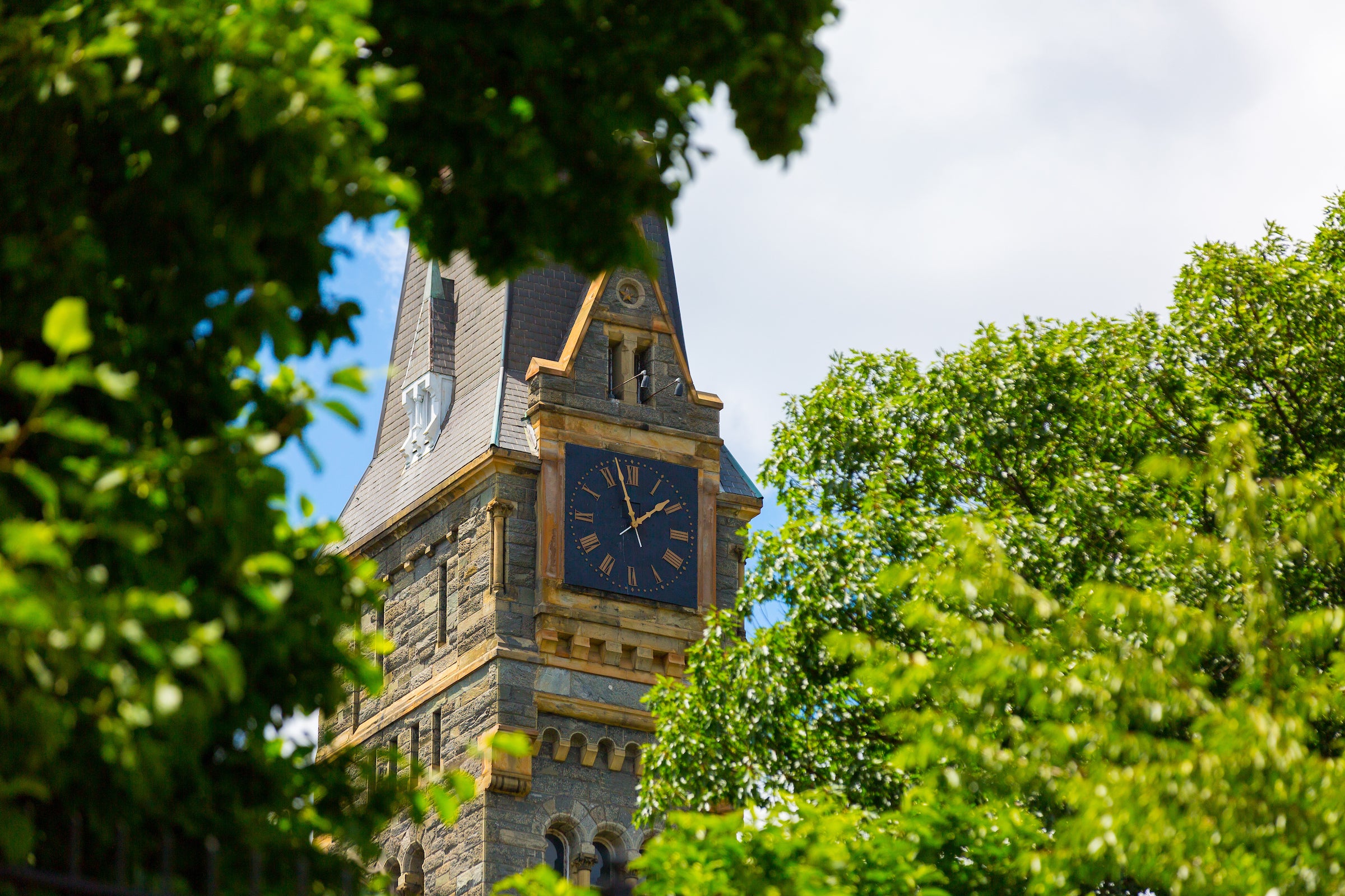 The Healy Clock Tower, a tall stone tower with an analog clock and pointed steeple, surrounded by leafy green trees.